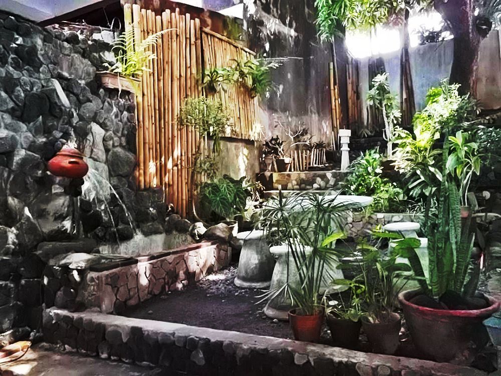 Balay De La Rama Bed & Breakfast Legazpi Zewnętrze zdjęcie