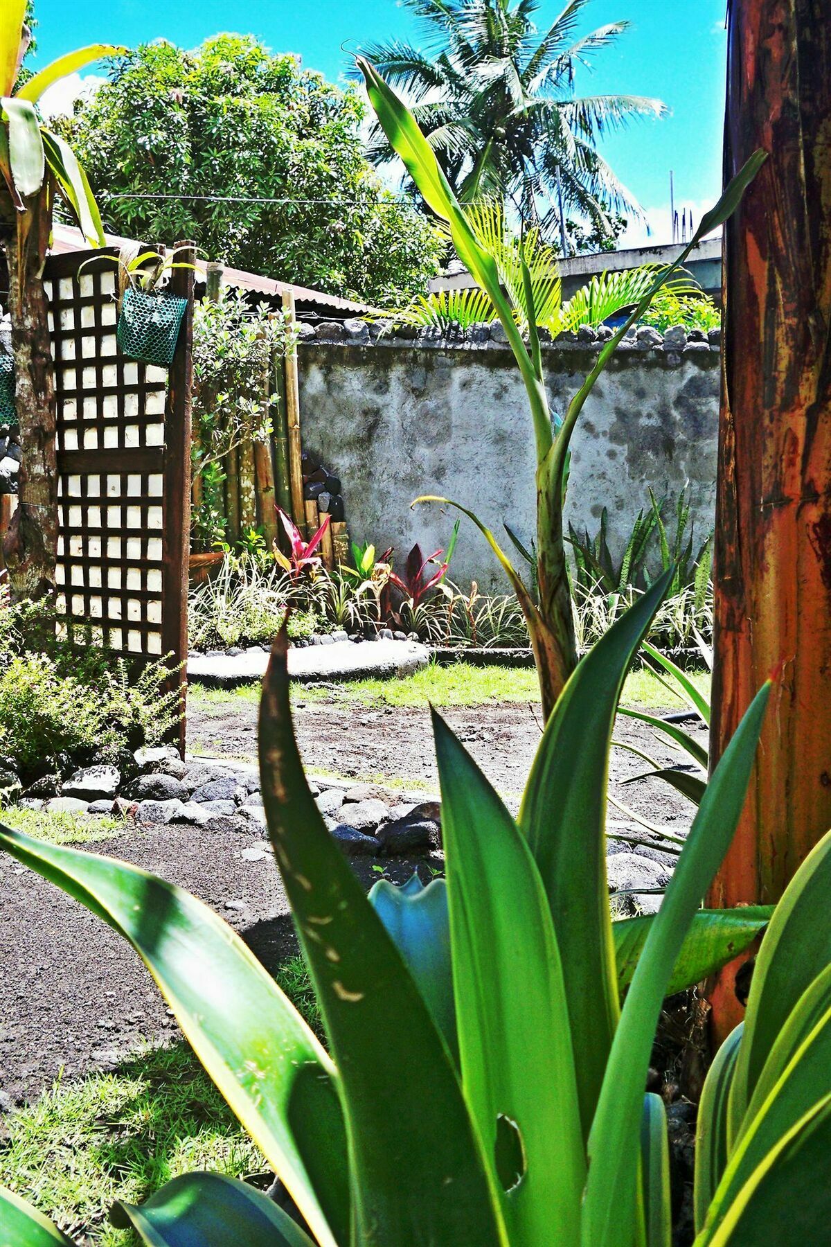 Balay De La Rama Bed & Breakfast Legazpi Zewnętrze zdjęcie